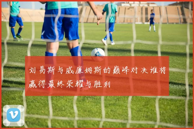 刘易斯与威廉姆斯的巅峰对决谁将赢得最终荣耀与胜利