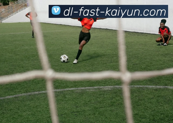 开云平台生态图